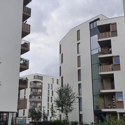 Wohnungsmarktanalyse für das Bundesland Salzburg 